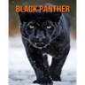 Black Panther: Amazing Photos and Fun Facts Book for kids