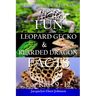 Fun Leopard Gecko and Bearded Dragon Facts for Kids 9-12