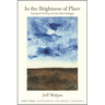 In the Brightness of Place: Topological Thinking with and After Heidegger