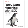 Fuzzy Data Matching with SQL: Enhancing Data Quality and Query Performance