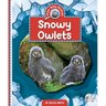 Snowy Owlets
