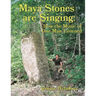 Maya Stones are Singing: How the Music of One Man Listened