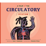 A Tour of the Circulatory System