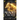 Memory Catcher