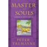 Master of Souls: A Mystery of Ancient Ireland