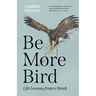 Be More Bird: Life Lessons from a Hawk