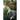 Zoom through Doom
