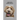 Living with Canine Epilepsy: Understanding, Treating, and Thriving Together Through Seizures
