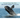 Disappearing Giants: The North Atlantic Right Whale