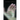 The Invisible Hand