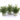 Potted Fern Plant in Grey Pot (Set of 3)