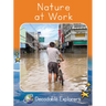 Nature at Work: Fluency Boost