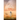 The Lieutenant