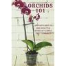 Orchids 101: Your quick guide to grow beautiful orchids with simple care techniques