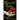 Spirits of Tyler and Beyond...