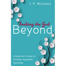 Seeking the God Beyond