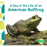 Day in the Life of an American Bullfrog