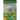 Dandelions in Third Space