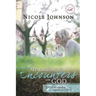 Dramatic Encounters with God: Seven Life-Changing Lessons of Love