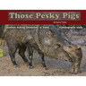 Those Pesky Pigs: Javelinas making themselves at home A photographic study