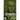 Vivaldi