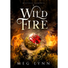 Wildfire