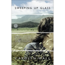 Sweeping Up Glass