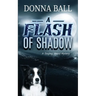 A Flash of Shadow