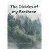 The Divides of my Brethren