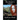 The Healer's Choice