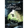 The Lava Tube: A Christian's Personal Journey with Obsessive Compulsive Disorder