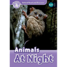 Read and Discover Level 4 Animals at Night