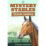 Stolen Saddles: A fun-filled mystery featuring best friends and horses