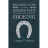 The Structure of the Horse's Foot and the Principles of Shoeing