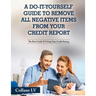 A Do-It-Yourself Guide To Remove All Negative Items From Your Credit Report: The Best Guide To Fixing Your Credit Rating
