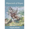 Shipwreck of Hopes