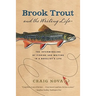 Brook Trout & the Writing Life: The Intermingling of Fishing and Writing in a Novelist's Life