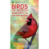 Amnh Birds of North America Eastern