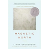 Magnetic North