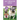 My Senior Dog: A Complete Guide to Caring for Your Old Dog