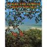 Where the Forest Meets the Sea