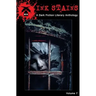 Ink Stains: A Dark Fiction Literary Anthology