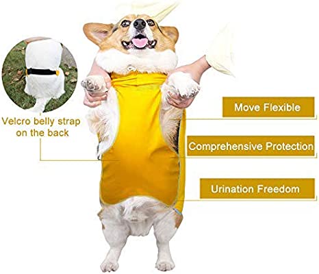 Dog waterproof Raincoat and Poncho with Belly Protection by Dach Everywhere