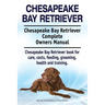 Chesapeake Bay Retriever. Chesapeake Bay Retriever Complete Owners Manual. Chesapeake Bay Retriever book for care, costs, feeding, grooming, health an