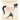 Qigong for Staying Young: A Simple Twenty-Minute Workout to Cultivate Your Vital Energy
