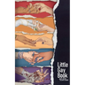 Little Gay Book