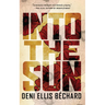 Into the Sun