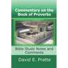 Commentary on the Book of Proverbs: Bible Study Notes and Comments