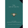 The Life of the Fly