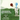 Brightness the Bird Girl